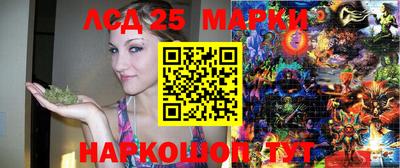 гидропоника Нальчик