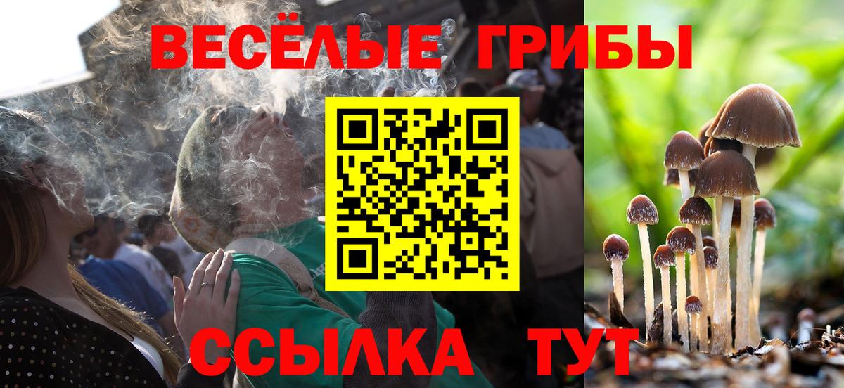 Псилоцибиновые грибы Psilocybe Фурманов