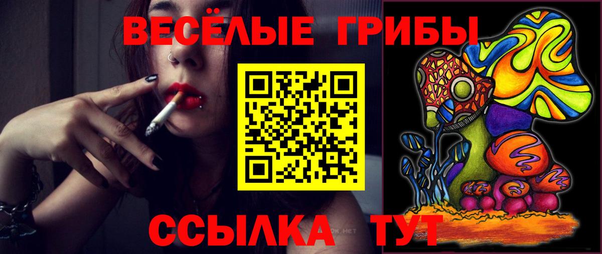 закладка  Галлюциногенные грибы GOLDEN TEACHER  Вход с VPN  Галлюциногенные грибы GOLDEN TEACHER  Фурманов 